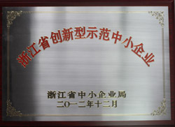 Innovative demonstration of small and medium-sized enterprises in Zhejiang Province