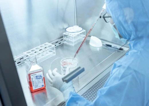 細(xì)胞實(shí)驗(yàn)室功能區(qū)劃分標(biāo)準(zhǔn)