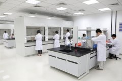 環(huán)境監(jiān)測(cè)實(shí)驗(yàn)室整體建設(shè)方案