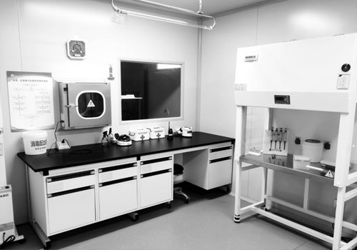 微生物實(shí)驗(yàn)室3.jpg