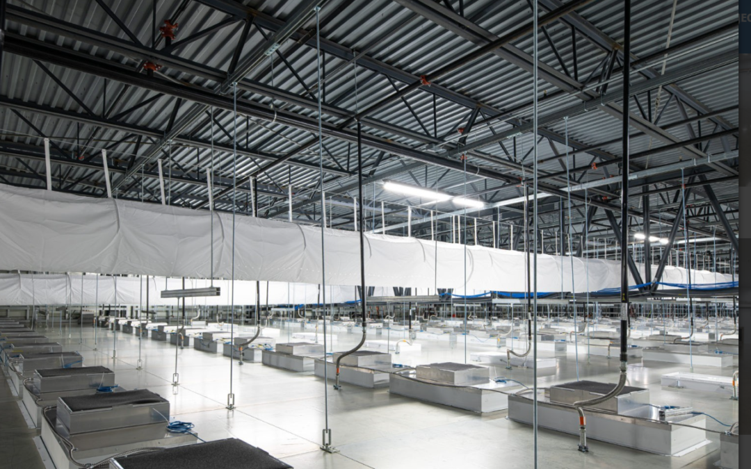 風(fēng)扇過濾器單元和空氣處理單元：有什么區(qū)別？