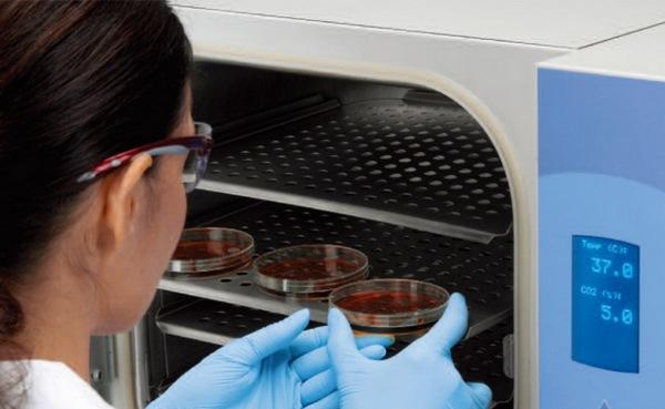 微生物無菌實(shí)驗(yàn)室