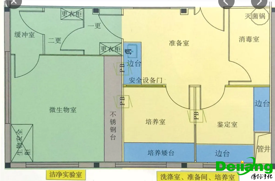 微生物實驗室平面布局