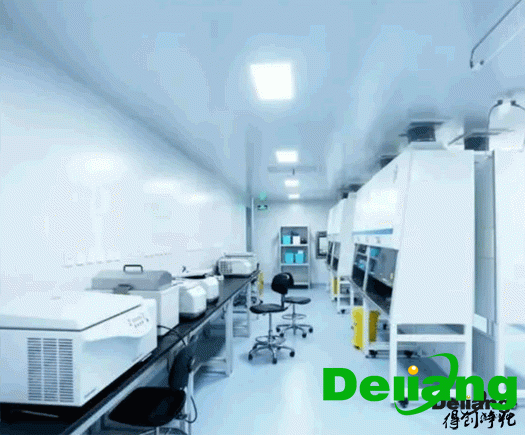 實(shí)驗(yàn)室生物安全