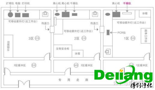 PCR實驗室平面圖