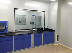 核酸醫(yī)學(xué)檢測實(shí)驗(yàn)室設(shè)計(jì)資質(zhì)