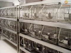 動(dòng)物實(shí)驗(yàn)室建設(shè)依據(jù)