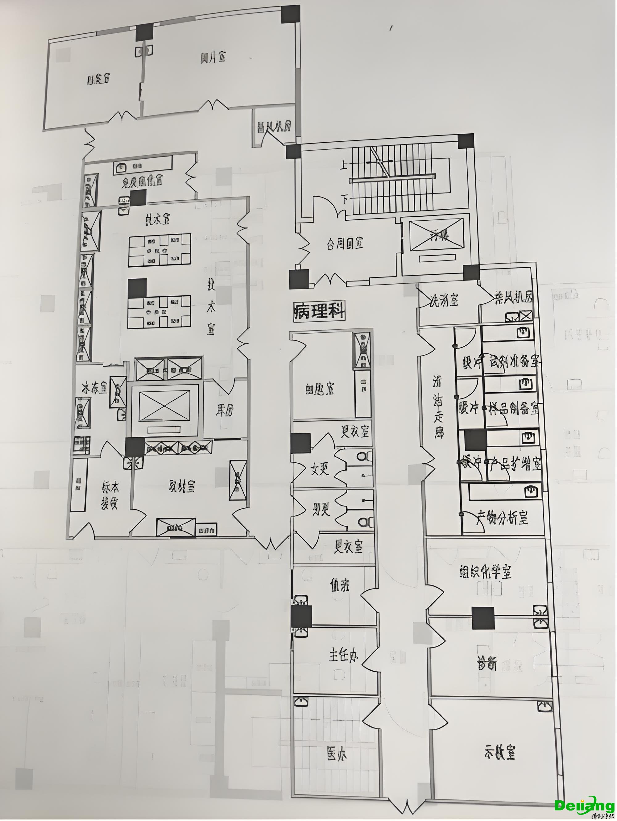 病例實驗室功能區(qū)布局圖