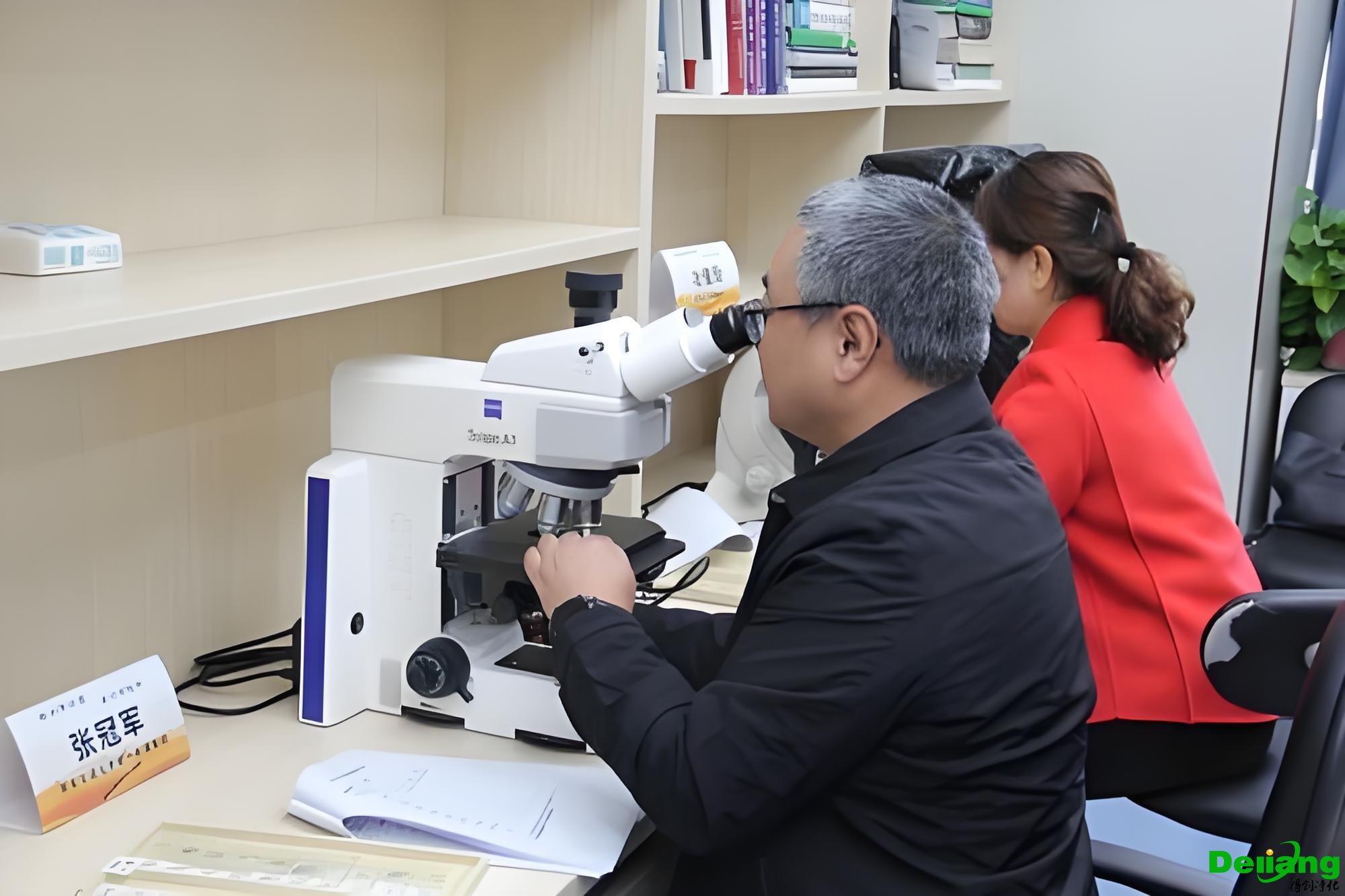 閱片區(qū)（Microscopy Area）