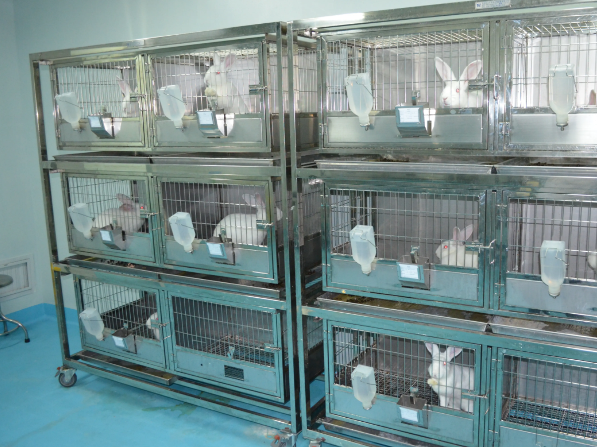 動(dòng)物實(shí)驗(yàn)室效果圖