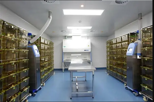 動(dòng)物實(shí)驗(yàn)室效果圖