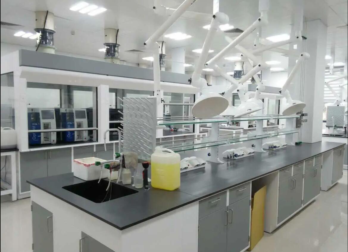 動物實驗室效果圖